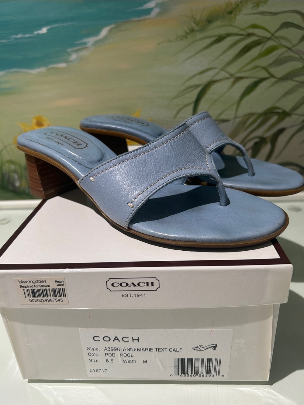 Vintage Coach Annemarie Light Blue Textured Calf Leather Thong Mules Block Heel